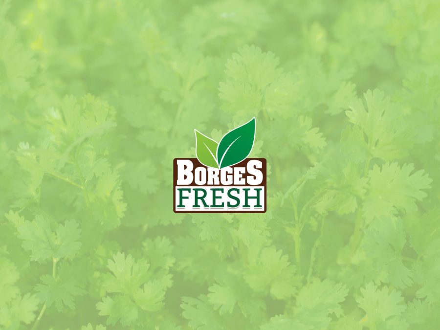 borgesfresh - Brand